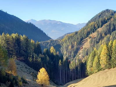 Bild 40 aus  Fötscherhütte