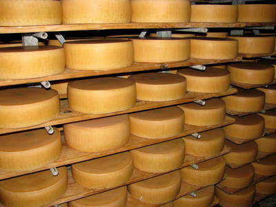 Bild 29 aus  Bio Bauernhof Burtscher