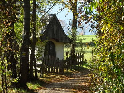 Bild 40 aus  Ferienwohnung Schneebergblick 