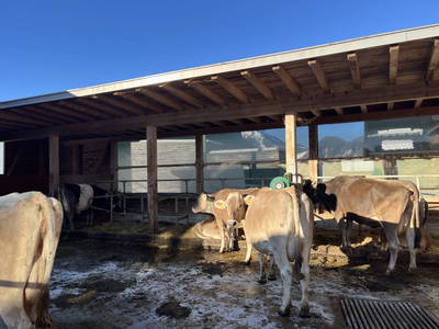 Bild 31 aus  Bio-Gmeinerhof