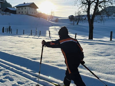 Bild 72 aus  Bio Schartenhof