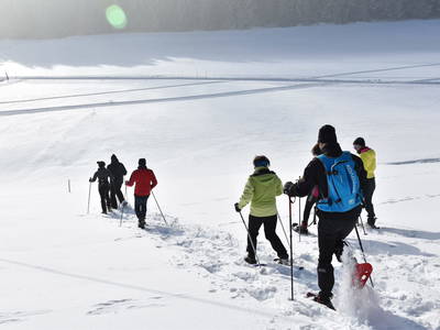 Bild 97 aus  Biohof Stadlbauer