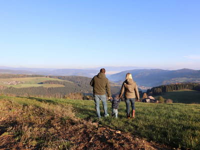 Bild 89 aus  Madritschhof