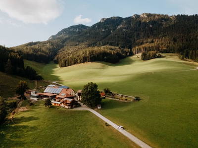 Bild 258 aus  Michlbauer