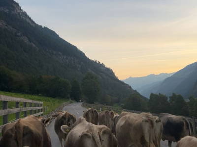 Bild 74 aus Schalkler