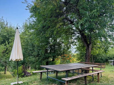 Bild 20 aus  MiklauTz Naturhof