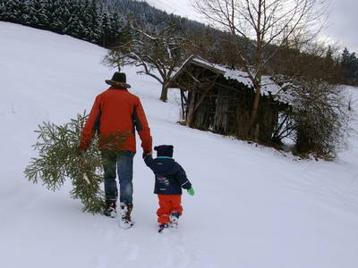 Bild 24 aus  Thalerhof- Tauch ein in den Garten der Sinne