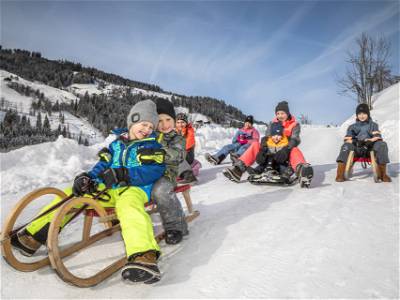Bild 10 aus Griesbauer - Familie Gehwolf