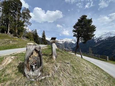 Bild 26 aus  Haus Wille