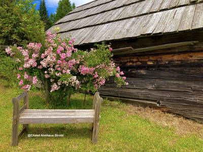 Bild 27 aus Chalet Almhaus Strobl