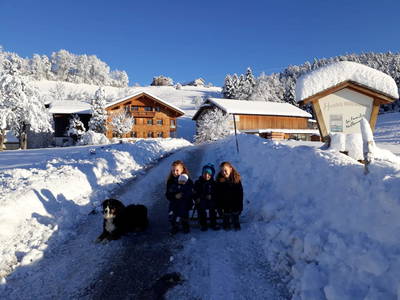 Bild 112 aus  Familie Nußbaumer 