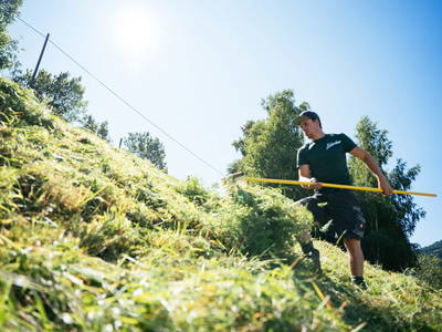 Bild 4 aus  Sportbauernhof Hochalmblick