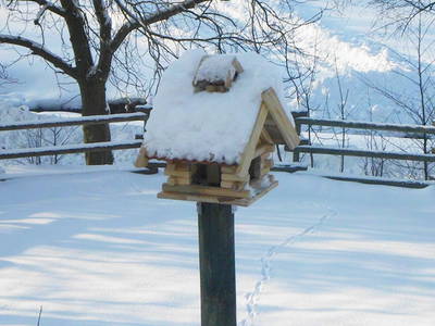 Bild 19 aus  Ferienhof Schmidt-Köss