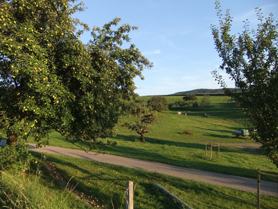 Bild 9 aus  Ferienhof Käsrah