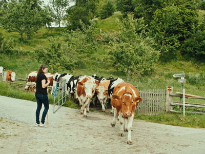 Bild 78 aus  Sörgerwirt