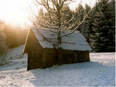 Bild 45 aus  Podolerhof - Hüttenurlaub