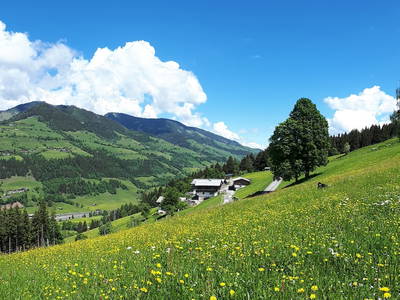 Bild 32 aus  Ferienhaus Unterblasbichl