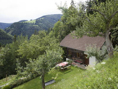 Bild 10 aus  Schoberkogelhütte