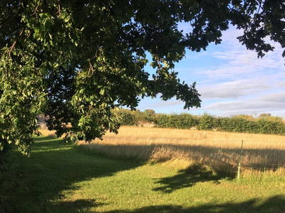 Bauershof Heidschnucken-Wiese