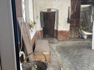 Bild 24 aus  Familien und Pferdebauernhof