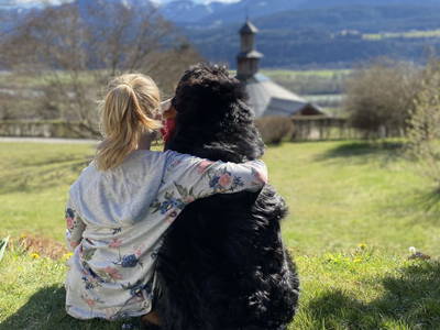 Bild 60 aus  Hoferhof