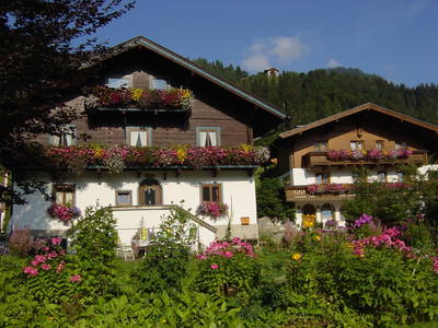 Bild 46 aus  Ployergut