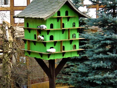 Bild 9 aus  Ferienbauernhof    "Pension Landhof "