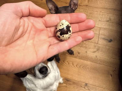 Bild 28 aus  MiklauTz Naturhof