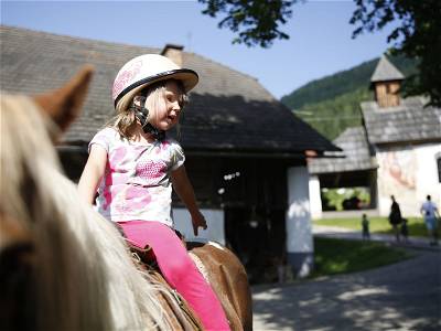 Bild 7 aus Familienbauernhof Glawischnig-Hofer