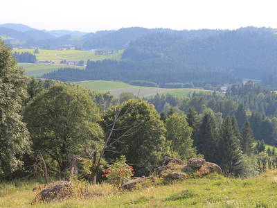 Bild 21 aus  Gebetsberger