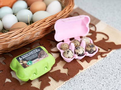 Bild 8 aus  Marteshof