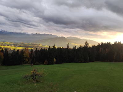 Bild 6 aus  Weitblickhof Roth