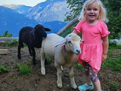 Bild 147 aus  Wallneralm