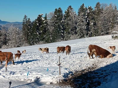 Bild 55 aus  Ferienhaus Untergrünweg