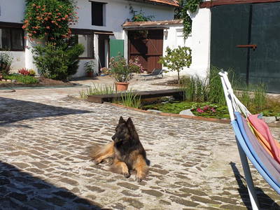 Bild 2 aus  Refugium Ottenthal