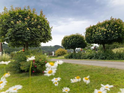 Bild 132 aus  Bio Bauernhof Landhaus Bender Ferienhaus Kellerstöckl