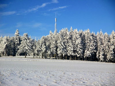 Bild 16 aus Böhm