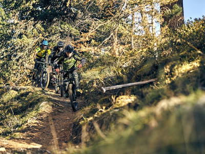 Bild 87 aus  Holzackerhof