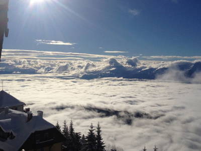 Bild 69 aus  Schrunerhof