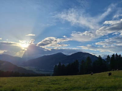 Bild 145 aus  Naturpark Bauernhof Sperl