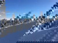 Bild 39 aus  Tom's Alpenhütte