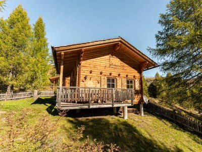 Bild 3 aus  Wallnerhütte I Almblick