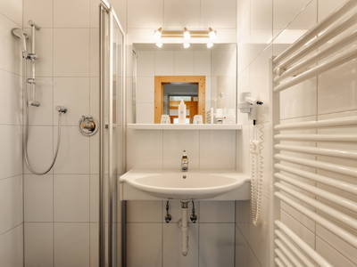 Bild 98 aus  Ferienhof Obergasser & Pension Bergblick