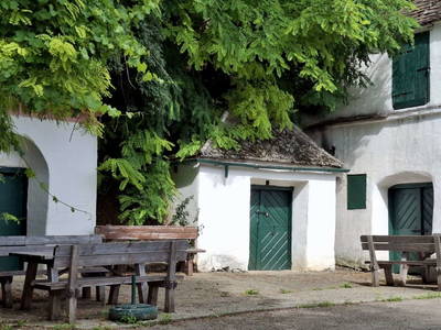 Bild 79 aus Ferienhaus Weinviertel