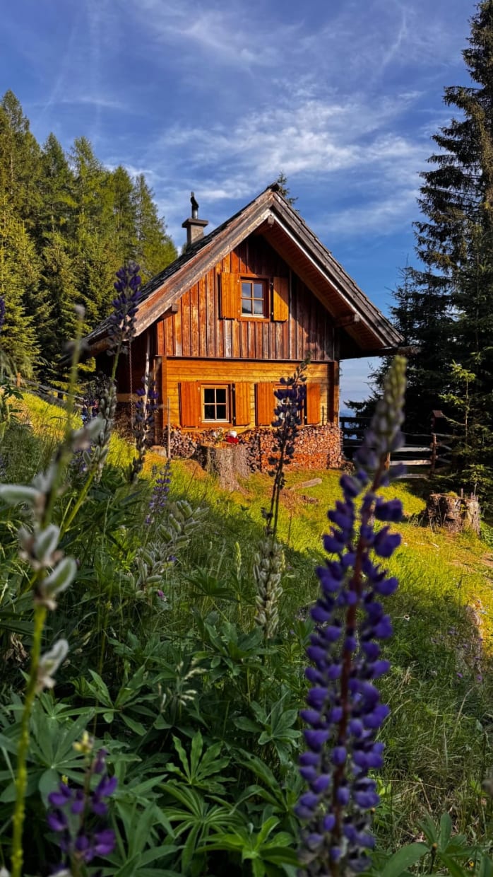 Königsreiner  Hütte
