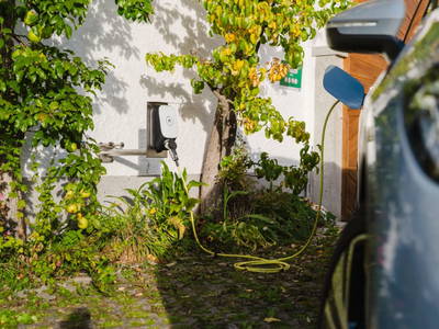 Bild 59 aus  Gut Pecketsberg