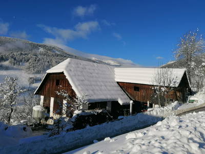 Bild 48 aus Stinig-Hof