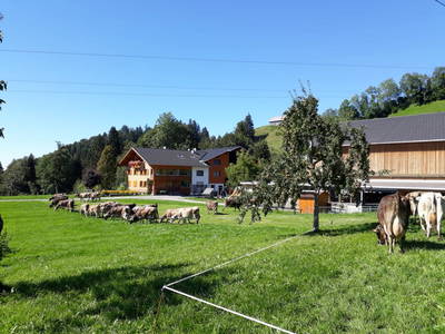 Bild 63 aus  Familie Nußbaumer 