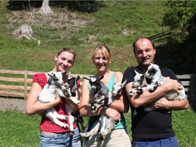 Bild 124 aus  Stegerhof