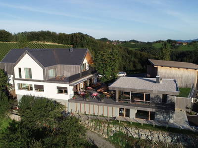 Bild 5 aus  Weingut  Paschek